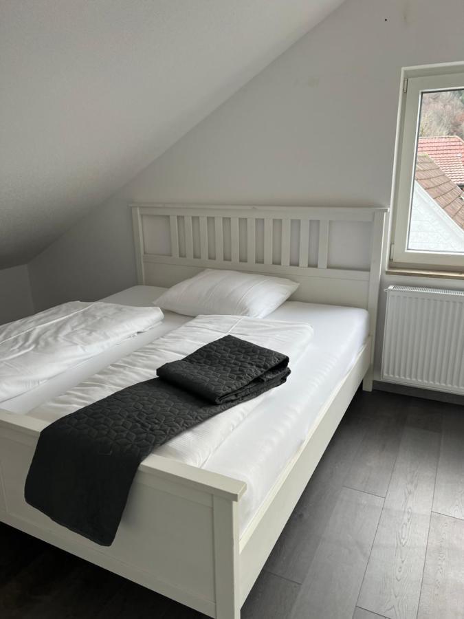 Unique Geraeumige 2 Zimmerwohnung In Tuttlingen Mit Netflix, Sauna Und Fitness Екстер'єр фото